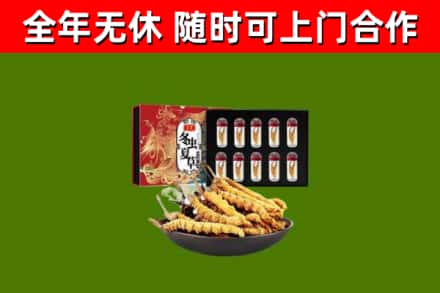 天宁回收冬虫夏草价格